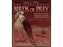 Illustrated Birds of Prey / Rogers