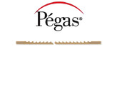 Pegas - Skip Reverse - Scroll Saw Blades - Size  5  144pc 