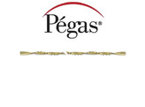Pegas - Spiral - Laubsageblatter - Gro e  0  144St 