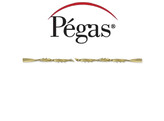 Pegas - Spiral - Lames de scie a chantourner - Taille  0  144pc 