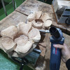 Manpa - Trepans 12 mm   adaptateur M14