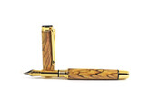 Beaufort Ink - Cyclone Fountain Pen - gold with black chrome accent