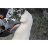 Arbortech - Power Carving Unit - Meuleuse d angle - M14