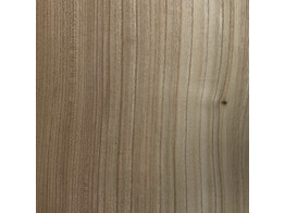Olm  580 x 250 x 0.7 mm  fineer