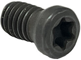 Hunter -  1 Replacement Screw