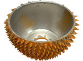 Saburrtooth - Disque rape - O45 mm - Coupe - Extra Gros