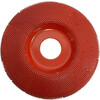 Saburrtooth - Disque rape - O100 mm - Plat - Moyen