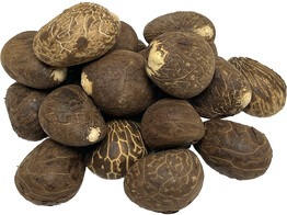 Tagua Nut  20 St 
