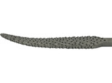 Renzo Milani - Rifloir a bois - Forme 665 - Longueur 180 mm