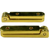 Charniere - Plaque or - 2 pc