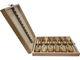 Robert Sorby - Koffer met 12 beitels