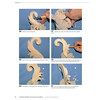 Carving Spoons - Revised Second Edition / Adler