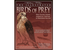 Illustrated Birds of Prey / Rogers