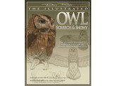 Illustrated Owl  Screech   Snowy