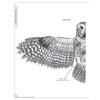 Illustrated Owl  Screech   Snowy