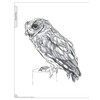 Illustrated Owl  Screech   Snowy