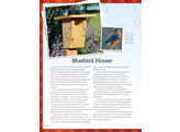 Nest Boxes   Feeders / Meisel