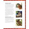 Nest Boxes   Feeders / Meisel