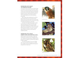Nest Boxes   Feeders / Meisel