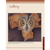 Pyrography Workbook / Walters