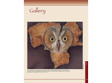 Pyrography Workbook / Walters