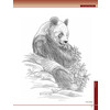 Pyrography Workbook / Walters