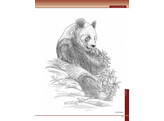 Pyrography Workbook / Walters