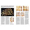 Woodcarving Magazine - Edition 215 - Septembre 2026  en anglais 