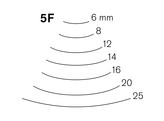 Pfeil - Blumeneisen - 5F - 6 mm