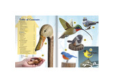 Complete guide to Birdcarving / WCI